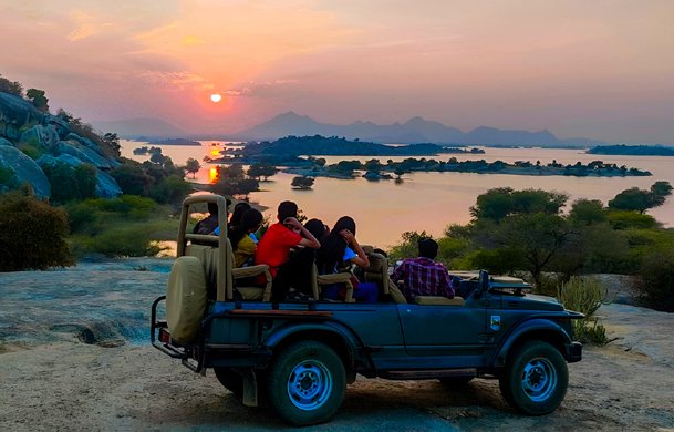 Sunset Leopard Safari